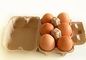 2 δίσκος αυγών πολτού χαρτιού φορμών που καθιστά τον εναλλάσσοντας τύπο μηχανών εύκολο να λειτουργήσει