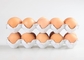 Περιστροφική μηχανή χαρτοκιβωτίων αυγών κατασκευαστών χαρτοκιβωτίων αυγών τύπων ελέγχου PLC με το ξεραίνοντας σύστημα δίσκων αυγών