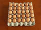 Μηχανή δίσκων αυγών άχρηστων χαρτιών, μονάδα ικανότητα κατασκευής δίσκων αυγών 1300pcs/h