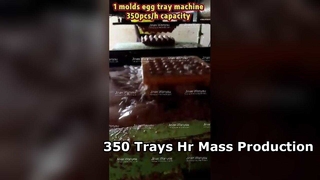 Μηχάνημα Δίσκων Αυγών 3000τμχ hr Μαζική Παραγωγή