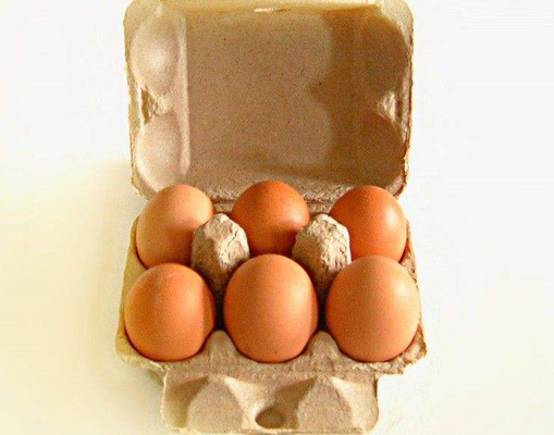 Δημοφιλής προσαρμοσμένη μηχανή κιβωτίων αυγών γραμμών παραγωγής δίσκων αυγών χαρτοκιβωτίων αυγών 6 τρυπών