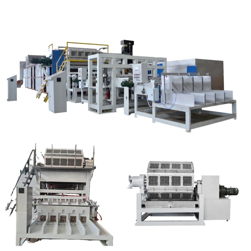 1500pcs/h-6000pcs/h Μηχανή Σχηματισμού Πολτού για Μεγάλη Ικανότητα Ανακυκλώσιμη Χάρτινη Γραμμή Παραγωγής Τραπέζι αυγών