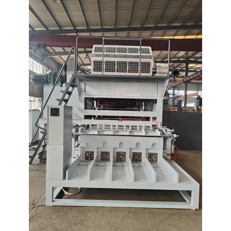 Πλήρως αυτόματη 5000pcs/h χωρητικότητα 5*8 Mold Rotary Forming Model Egg Tray Production Line Τεχνική μηχανή για την κατασκευή χαρτιού