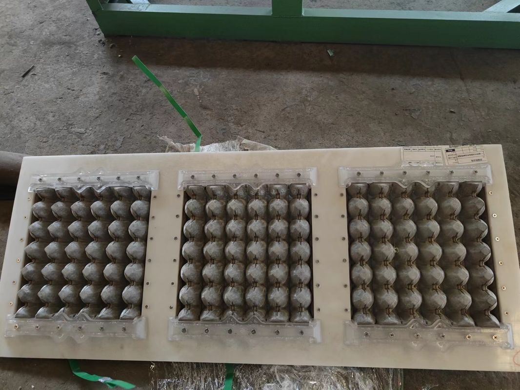 Ημιαυτόματη χάρτινη μηχανή δίσκου αυγών 1000pcs/h Αυτόματη γραμμή παραγωγής χαρτοκιβωτίων αυγών