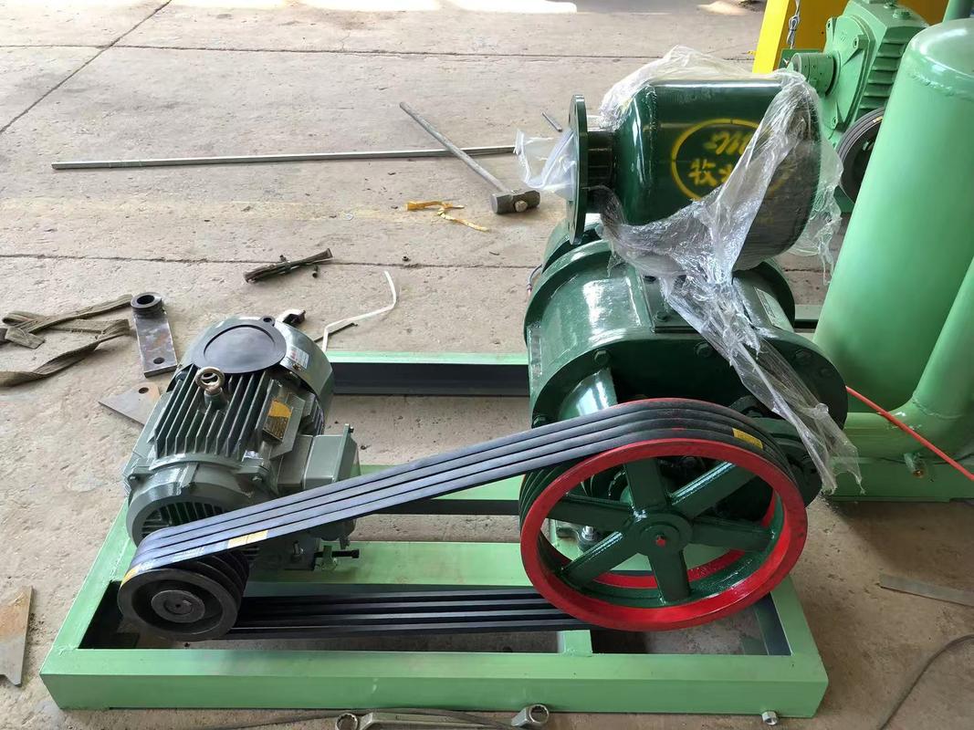 1000 τμχ/ώρα Ημιαυτόματη Μηχανή Δίσκων Αυγών / Μηχανή Παραγωγής Δίσκων Μήλων Απλής Δομής, Ρυθμιζόμενης Ταχύτητας, Ελεγχόμενη από PLC