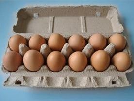 PLC Έλεγχος Περιστροφικού Τύπου Μηχανή Παραγωγής Δίσκων Αυγών, Μηχανή Παραγωγής Δίσκων Αυγών, Γραμμή Παραγωγής, Μηχανή Διαμόρφωσης Δίσκων Αυγών