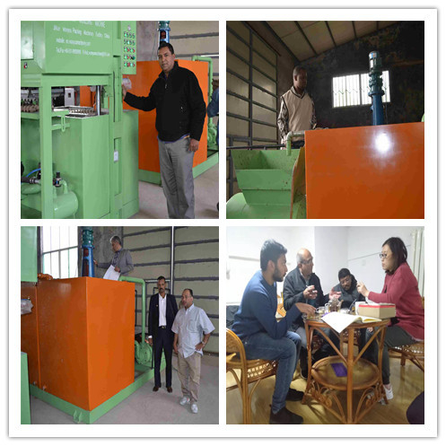 Ελεγχόμενη από PLC 1300pcs γραμμή παραγωγής δίσκου αυγών μηχανή δίσκου αυγών 380V 50hz