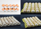 Μηχανή κατασκευής δίσκων αυγών χαρτιού/φορμάροντας μηχανή πολτού 2 έτη εξουσιοδότησης
