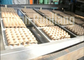Μεγάλη ανακυκλωμένη ικανότητα ενέργεια τύπων Rotray γραμμών παραγωγής δίσκων αυγών πολτού - αποταμίευση