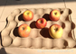 Δίσκος της Apple εγγράφου/δίσκος φρούτων που κάνει τη υψηλή επίδοση βαλβίδων της Γερμανίας μηχανών