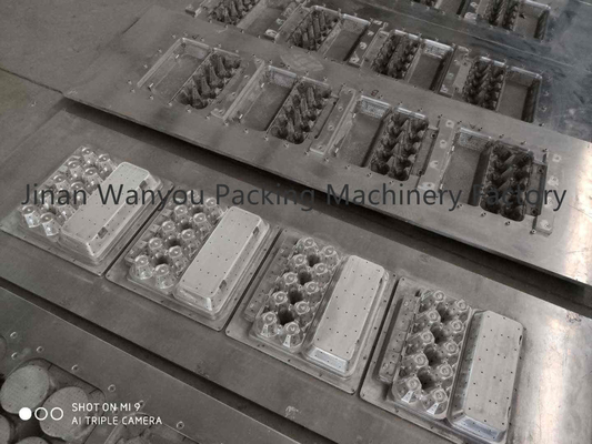 3000pcs/hr εξοπλισμός δίσκων εγγράφου μηχανών κατασκευής χαρτοκιβωτίων αυγών εγγράφου με την ξήρανση της γραμμής